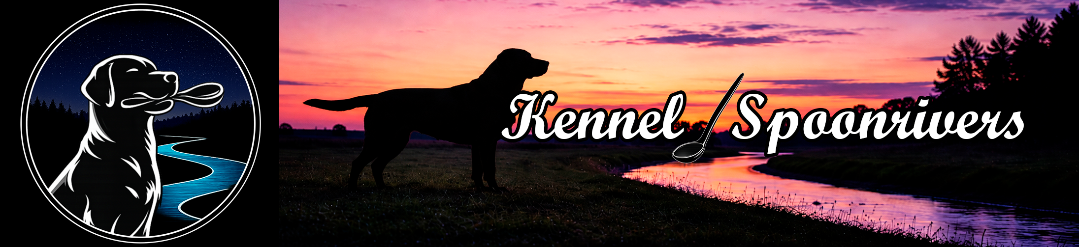 Banneri